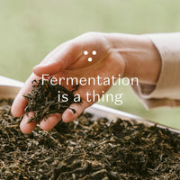 Bio Kräutertee - NORDIC BLACK - The Baltic Shop