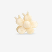 Bloomie Macadamia Haarklammer - The Baltic Shop