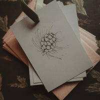 Kleine flache Karte mit Tannenzapfen - The Baltic Shop