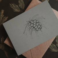 Kleine flache Karte mit Tannenzapfen - The Baltic Shop