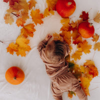 Velours-Hose Baby aus Bio-Baumwolle | Wooly Organic