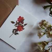 Kleine flache Grußkarten - The Baltic Shop