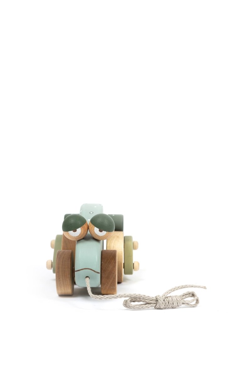 Handgefertigtes Frosch - Ziehtier aus Birkenholz - The Baltic Shop