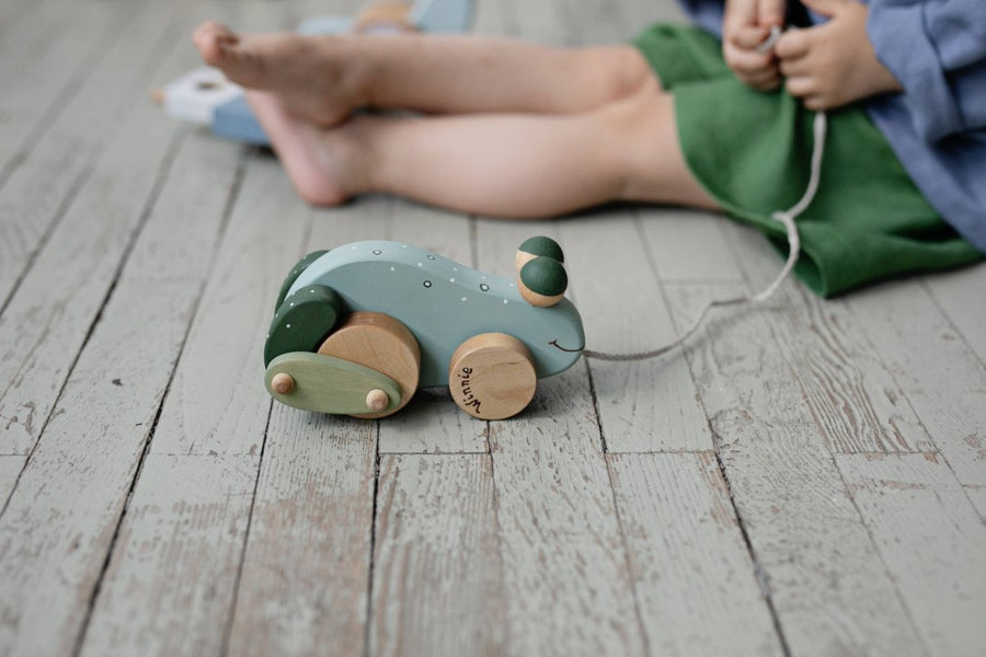 Handgefertigtes Frosch - Ziehtier aus Birkenholz - The Baltic Shop