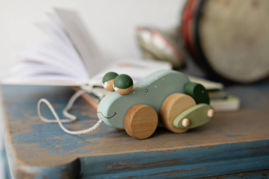 Handgefertigtes Frosch - Ziehtier aus Birkenholz - The Baltic Shop